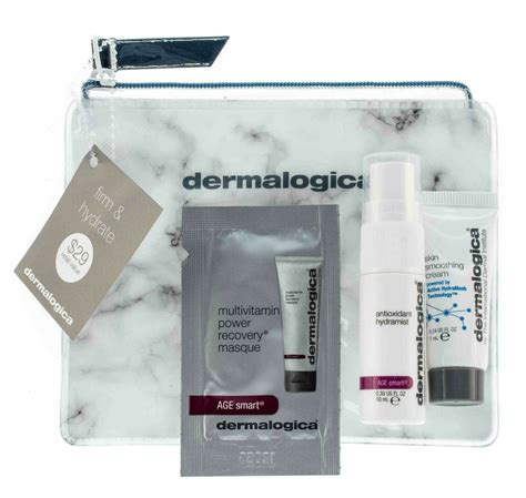 travel size dermalogica